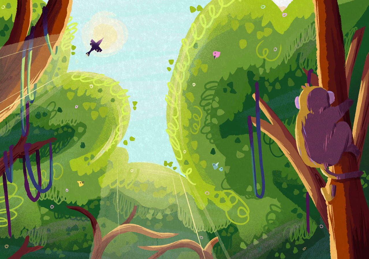 Calm in the Jungle